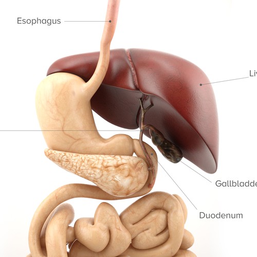 Microscope design with the title '3D Biliary Obstruction'