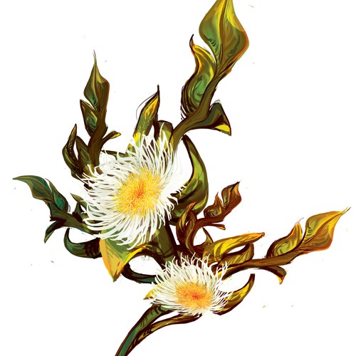 Flower artwork with the title 'Flower Illstration '