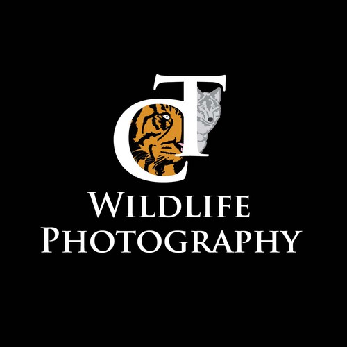 Wildlife photography logo with the title 'Concept for Wildlife Photography'