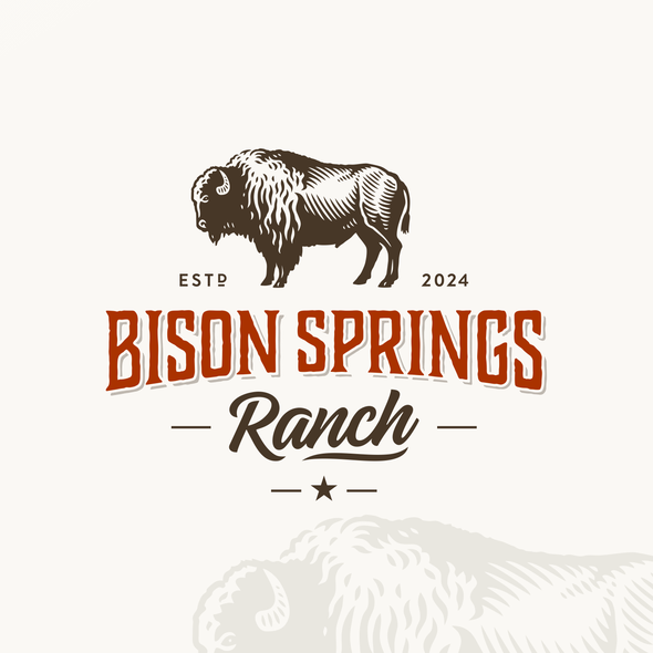 Texas logo with the title 'Bison Springs Ranch'