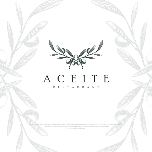 Olive logo with the title 'Vintage olive branch .'