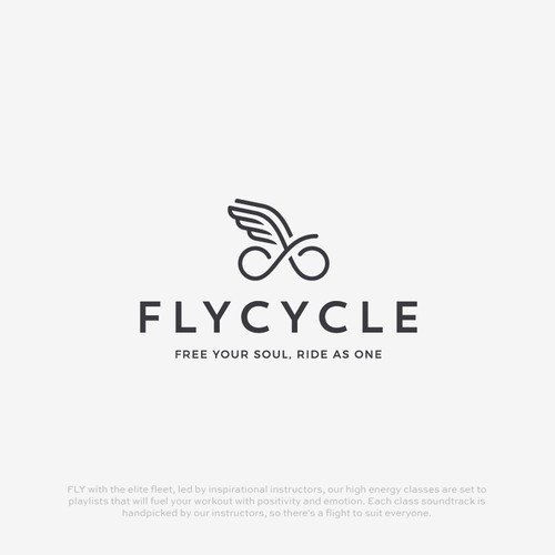 Fly design with the title 'FlyCycle'