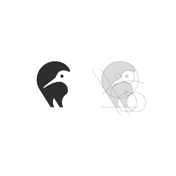 Kiwi logo with the title 'LOGO DESIGN'