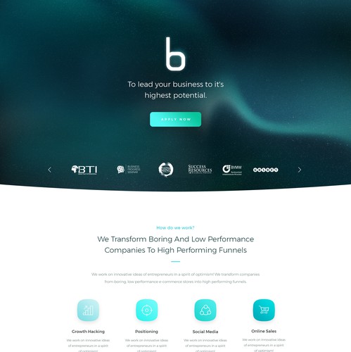 Consultant website with the title 'Lead Your Business'