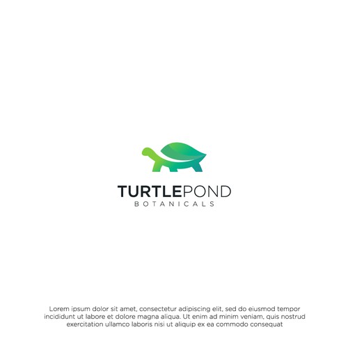 Turtle design with the title 'TURTLE POND BOTANICALS Logo'