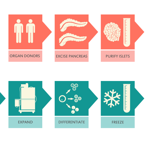 Diagram artwork with the title 'Illustration concept'