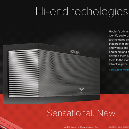 Music website with the title 'Hooleh — Website for Audio Speaker Electronics Brand'