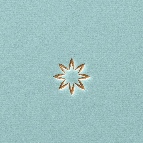 Flower brand with the title 'strong branding concept with a negative space logo a star in a flower'