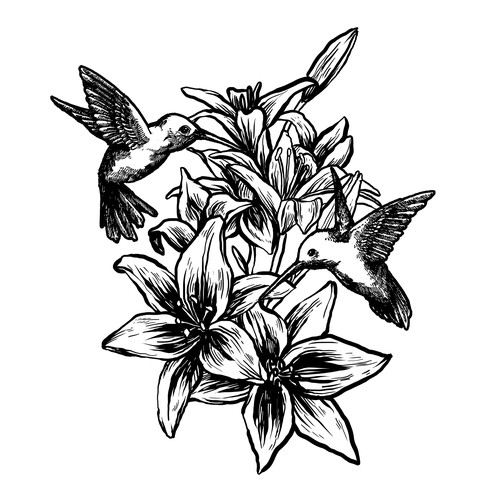 Detailed t-shirt with the title 'colibri'