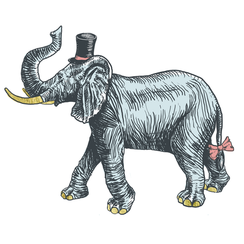 Gold illustration with the title 'An elephant crossed with Kate Spade class and French bistro shabbychic '