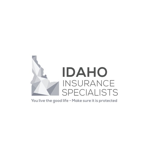 Insurance brand with the title 'Idaho Insurance Specialists'