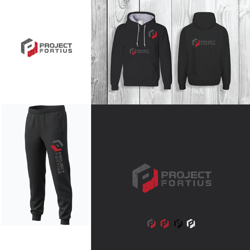 Physical logo with the title 'Project fortius'