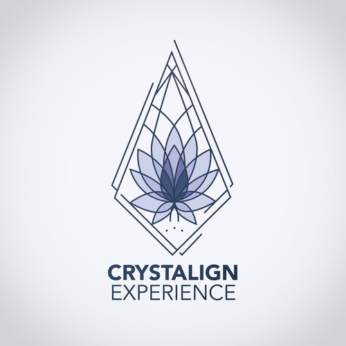 Delicate logo with the title 'elegant logo'