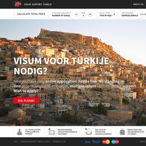 Service website with the title 'Website Template for a Visa Support service'