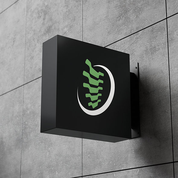 Healthcare logo with the title 'High-Performance Chiropractic Brand Identity'