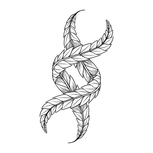 Marijuana leaf design with the title 'Cannabis leaf in double helix formation '
