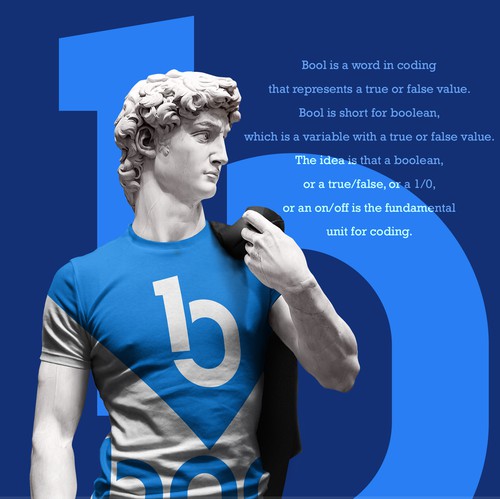 Minimalist brand with the title 'Bool - Logo Design'