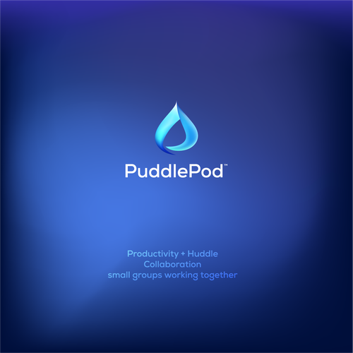 Fluid design with the title 'puddlepod logo '