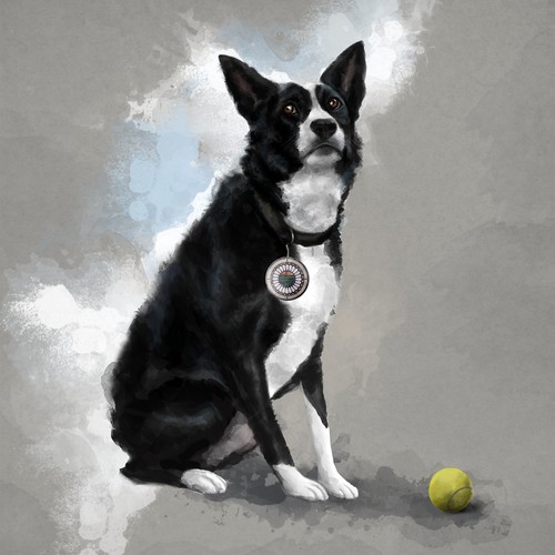 Portrait artwork with the title 'Stylized illustration of a border collie dog '