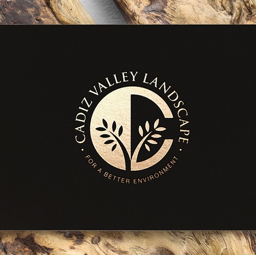 CV design with the title 'Cadiz Valley Logo'