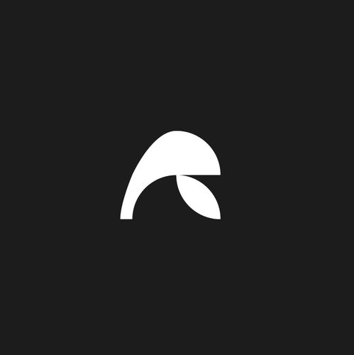 R logo with the title 'Brandmark-NR2238'