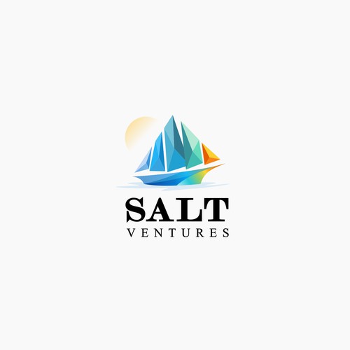 Ship logo with the title 'Salt Ventures'