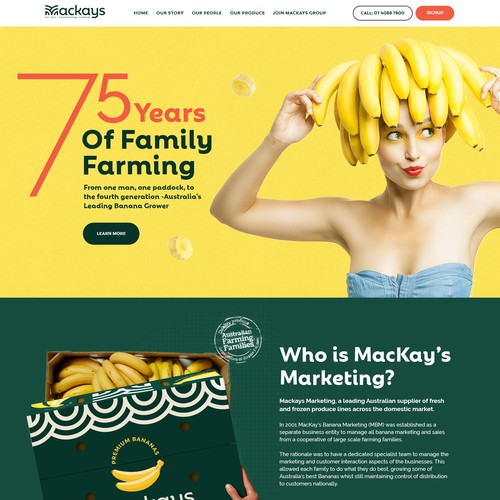 Colorful website with the title 'Website for a Fresh and Frozen Produce Supplier'