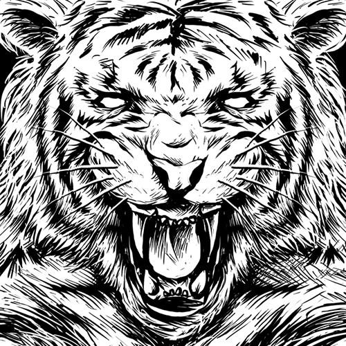 Tiger t-shirt with the title 'animal t-shirt'