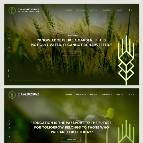 Nature the Best Web Ideas 99designs