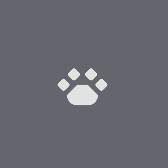 Dog paw logo with the title 'Brandmark-NR0226'