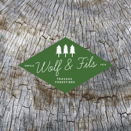 Woodworking logo with the title 'creation d'un logo'