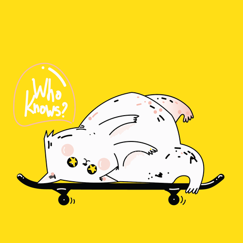 Cat t-shirt with the title 'Fun, Playful and Weird a whacky t-shirt'