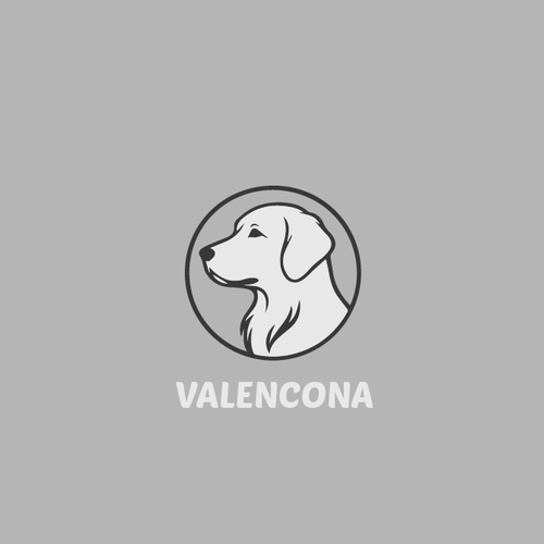 Dog grooming logo with the title 'Valencona Logo Concept – Premium Dog Care'