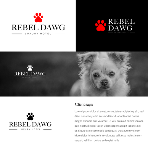 Bra logo with the title 'Luxury hotel for dogs'