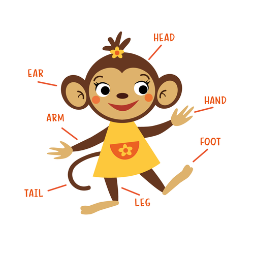 Monkey illustration with the title 'Children's book character'