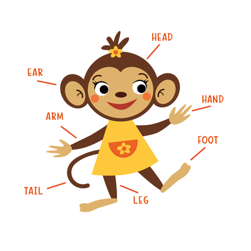 Monkey Illustrations The Best Custom Illustrated Monkey Image Ideas 99designs