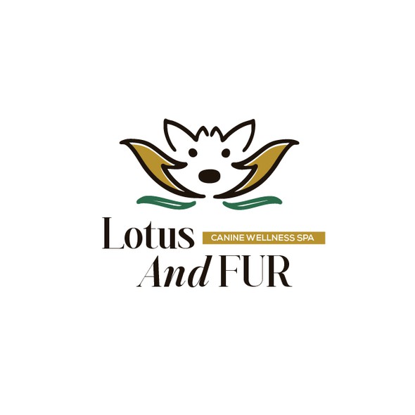 Bully dog logo with the title 'Dog spa'