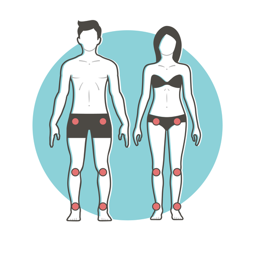 CorelDRAW illustration with the title 'Human Body Graphic'