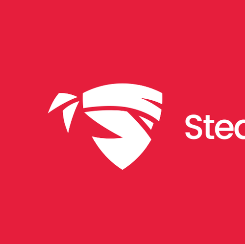 VPN logo with the title 'StealthVPN'