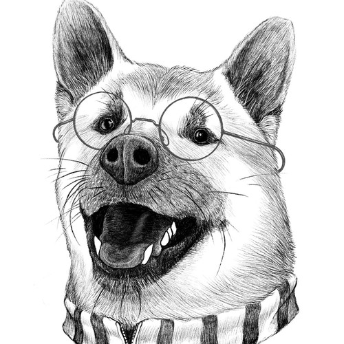 Pencil artwork with the title 'Shiba Inu'