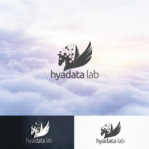 Pegasus logo with the title 'hyadata lab'
