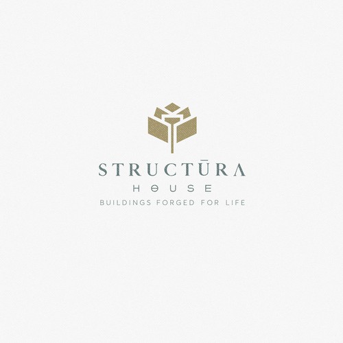 Boutique design with the title 'Stuctura house'