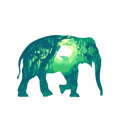 Baby elephant design with the title 'elephant life'