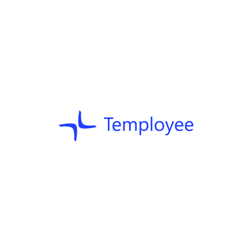 Boomerang logo with the title 'Boomerang logo for Temployee'