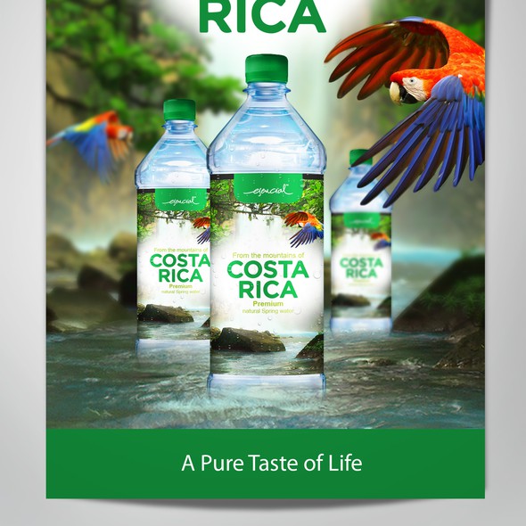 Beverage label with the title 'Bottled water label design concept, branding and advertising.'