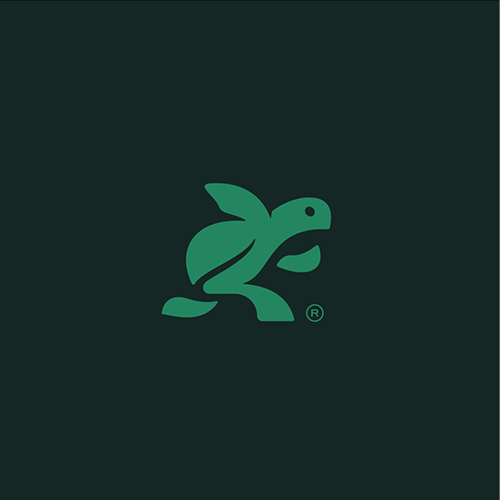 Turtle design with the title 'Trust Based Mobility logo mascot concept'