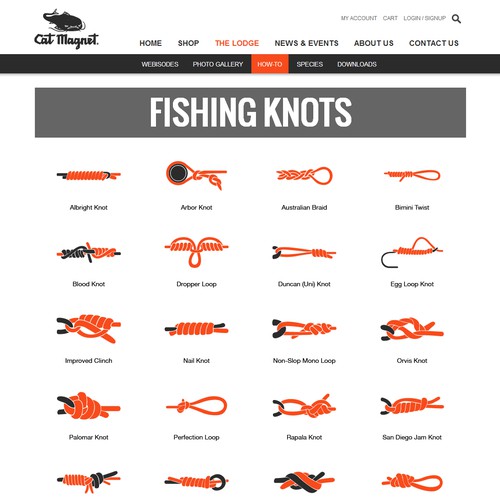 Orange illustration with the title 'Knot illustrations for US brand of fishing tackle.'