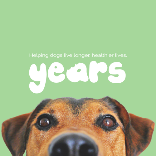 Cute dog design with the title 'Bubbly cute logo for healthy dog food brand'