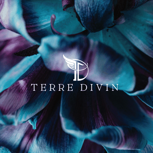 Divine design with the title 'Concepto de diseño de logotipo para "Terre Divin" '