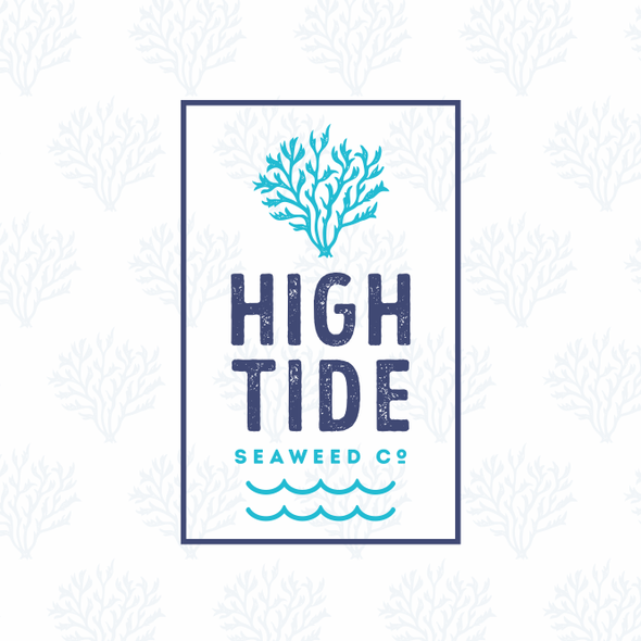 Pacific logo with the title 'High Tide'